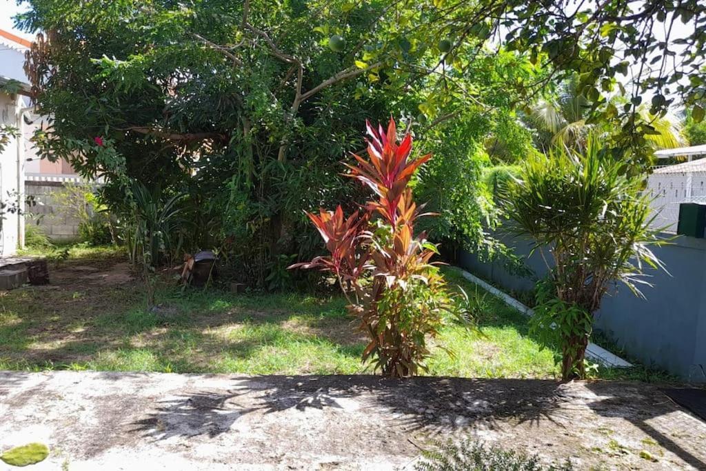 La Petite Maison, Spacieuse, Avec Jardin / Parking ซานต์-โรส ภายนอก รูปภาพ